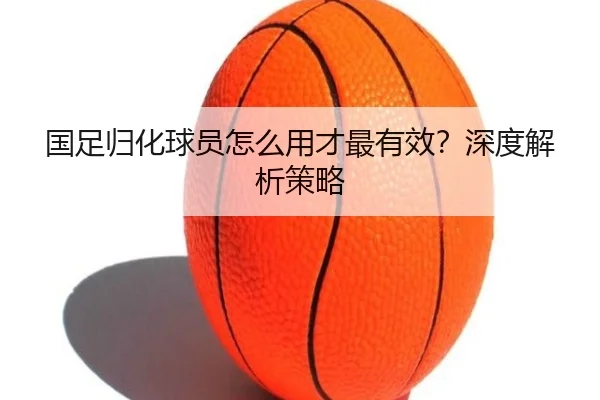 img_1781169636765_428_1_768.jpg